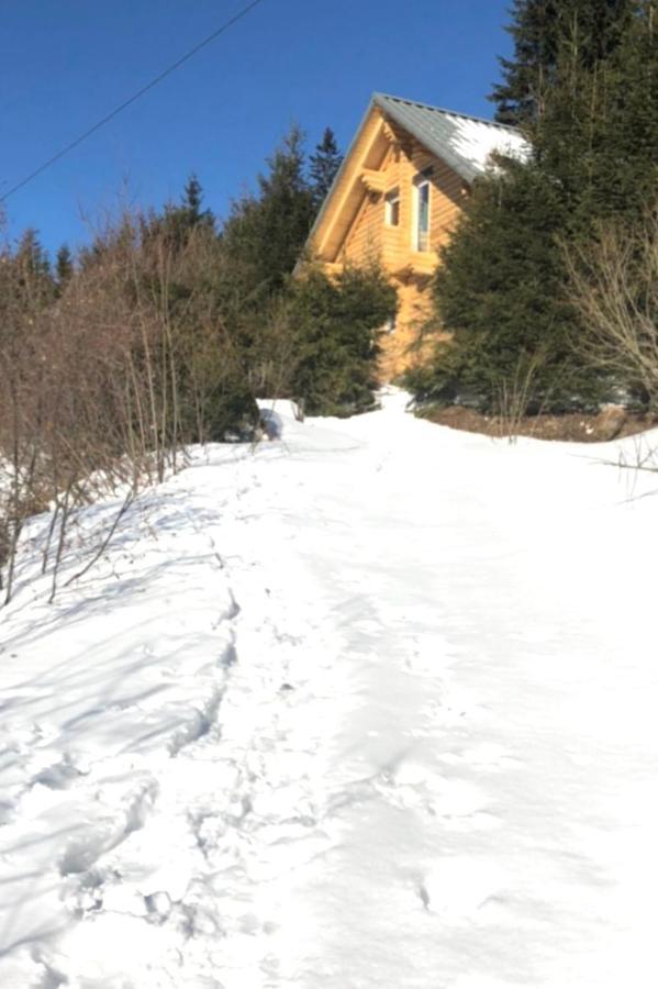 Alpenchalet Grabner Alm Am Praebichl Almhauser Eksteriør bilde