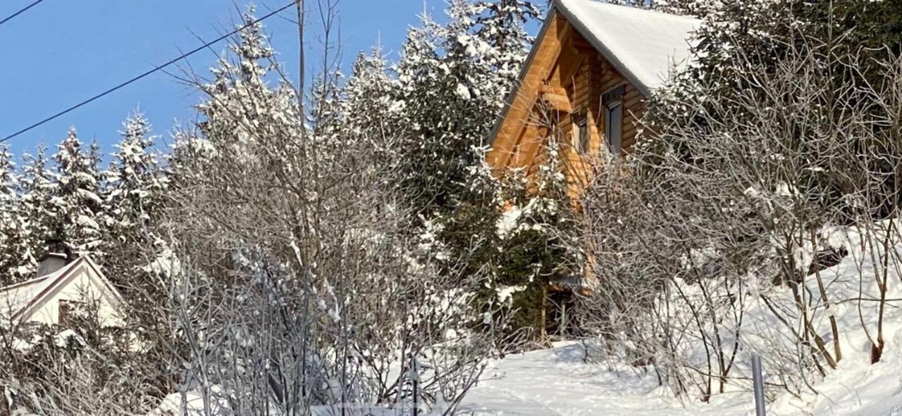 Alpenchalet Grabner Alm Am Praebichl Almhauser Eksteriør bilde