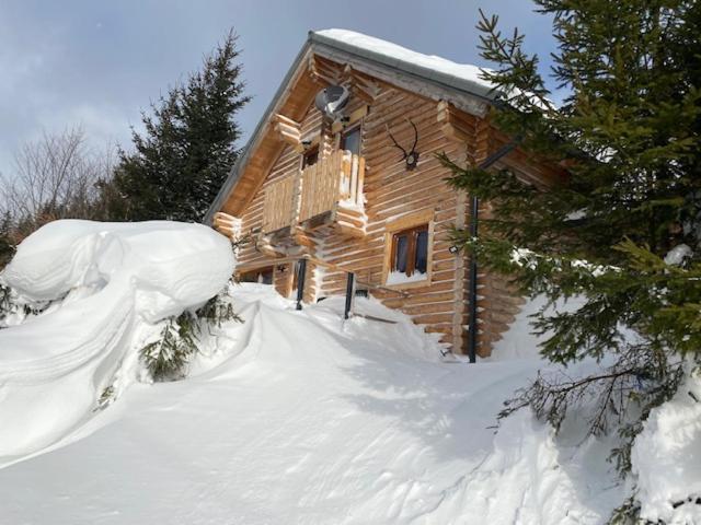 Alpenchalet Grabner Alm Am Praebichl Almhauser Eksteriør bilde
